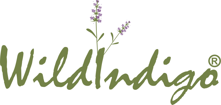 Wild Indigo